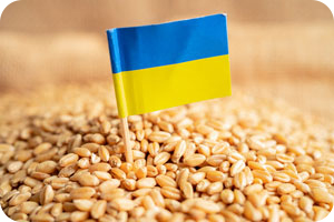 Ukrainians Rise to Logistics Challenges