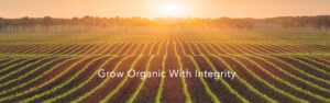 Wolf & Associates - Grow Organic With Integrity