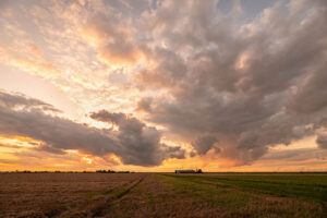 farm field sunset