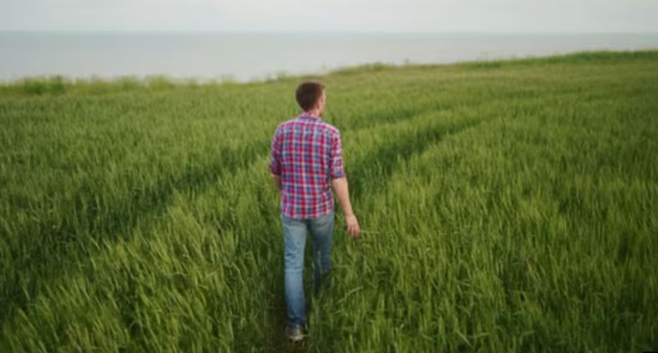 man walking in green field