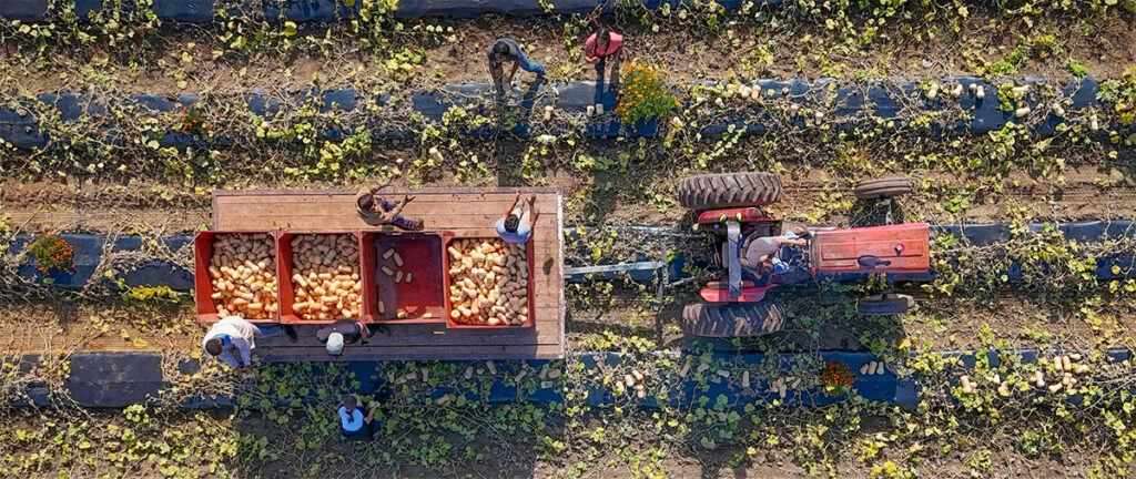farm tractor from above